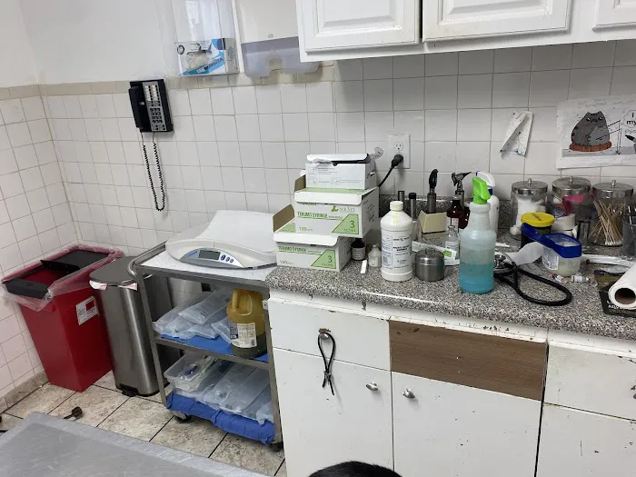 Lyndhurst Animal Hospital Inc 12