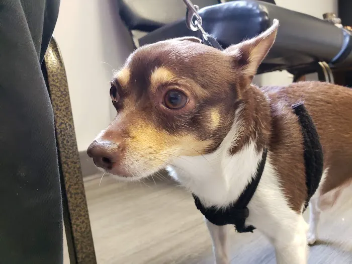 Ridge Road Animal Hospital 12
