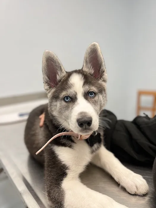 Ridge Road Animal Hospital 12