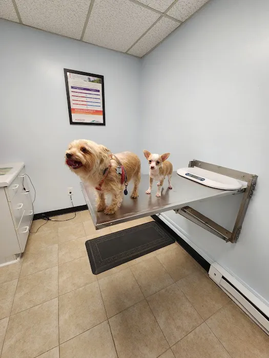 Ridge Road Animal Hospital 12