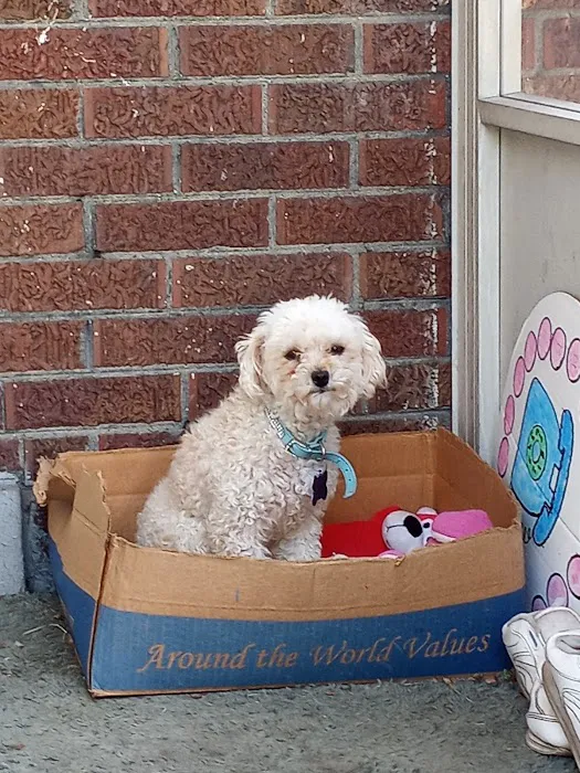 Northwest Animal Clinic 2