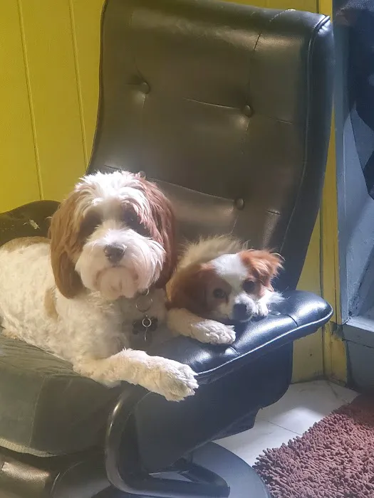Northwest Animal Clinic 4