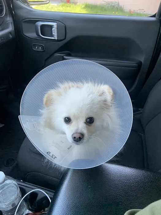 Northwest Animal Clinic 1