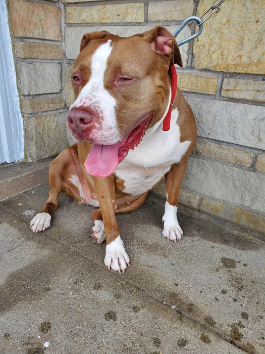Northwest Animal Clinic 6