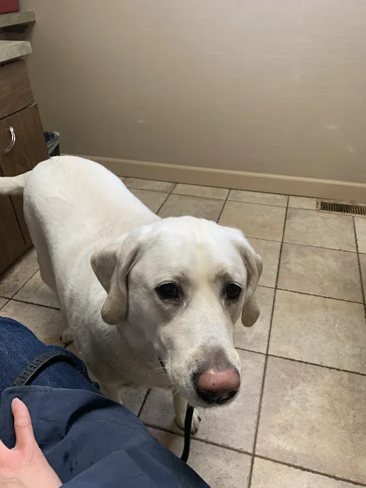 9 Tel Animal Hospital 1