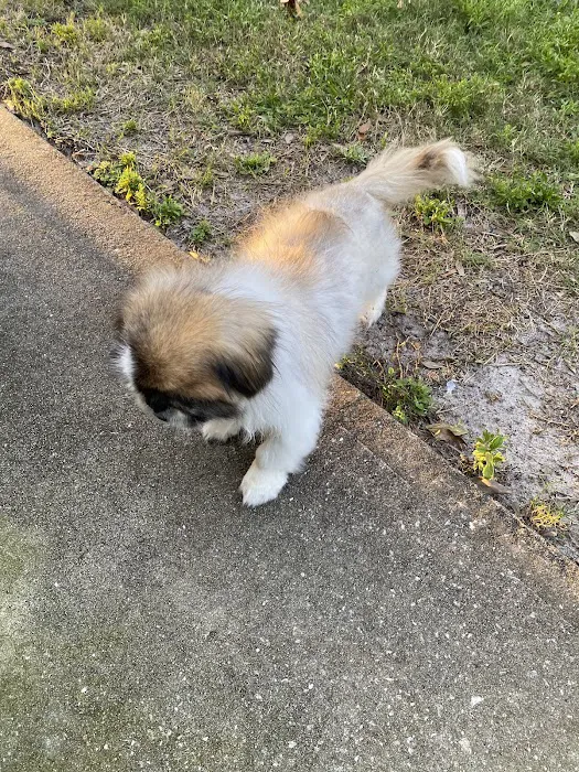 Rubio Pet Hospital 12