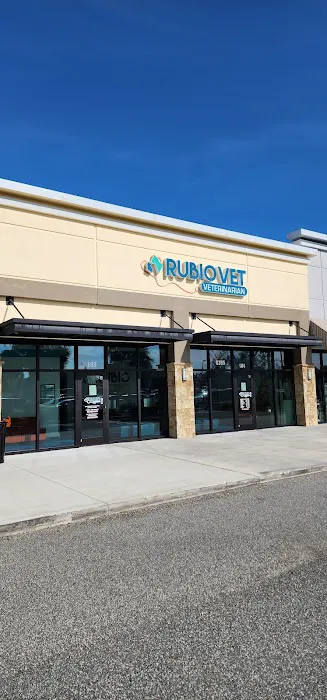 Rubio Pet Hospital 12