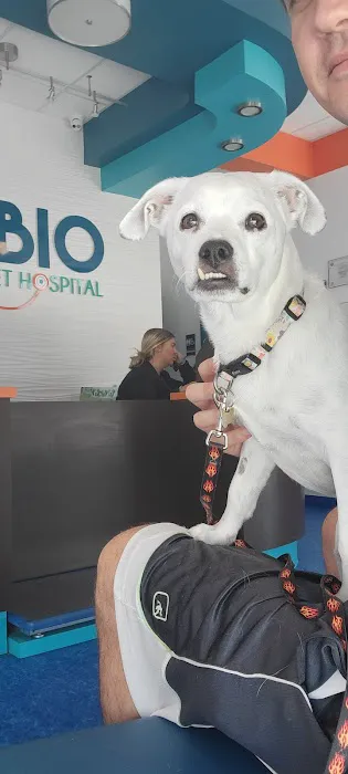 Rubio Pet Hospital 12
