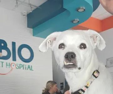 Rubio Pet Hospital