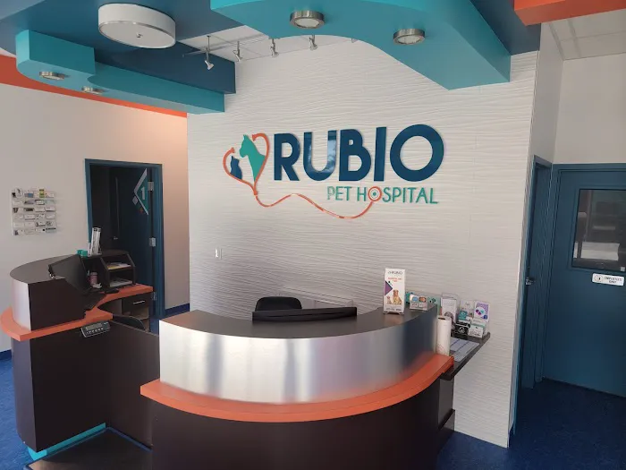 Rubio Pet Hospital 12
