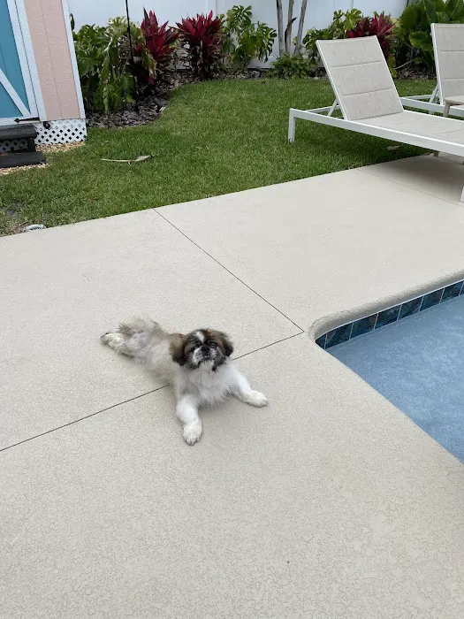 Rubio Pet Hospital 12