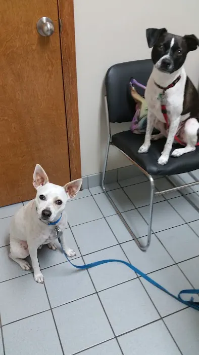 Suntree Animal Clinic 12