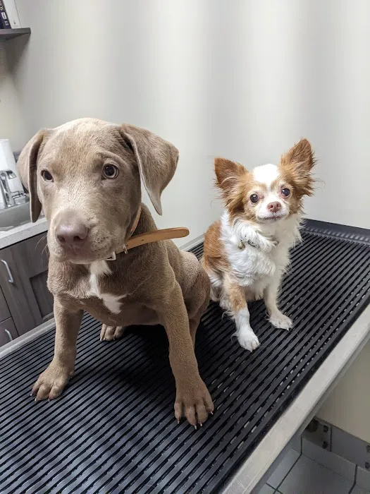 Suntree Animal Clinic 12