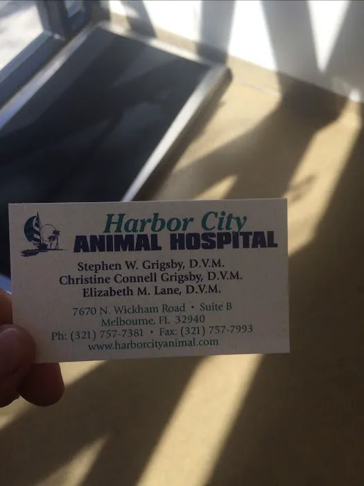 Harbor City Animal Hospital 12