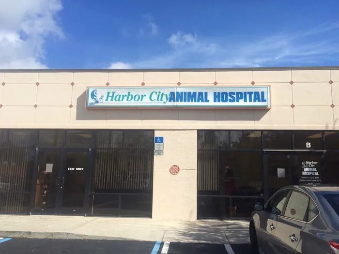 Harbor City Animal Hospital 12