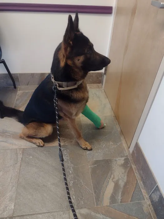 Veterinary Specialty Center 12