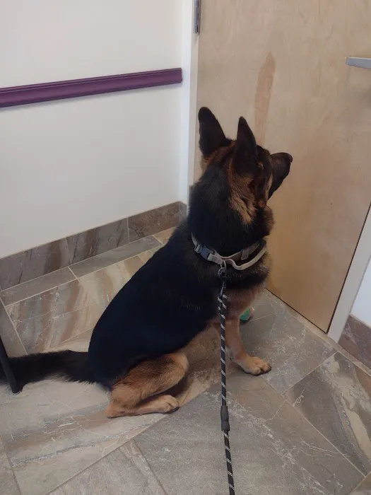 Veterinary Specialty Center 12