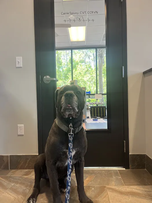 Veterinary Specialty Center 12