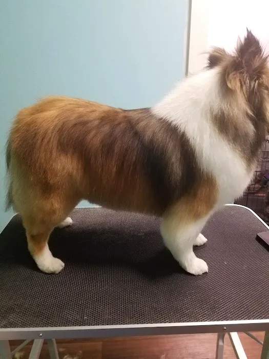 Englewood Animal Health Center 12