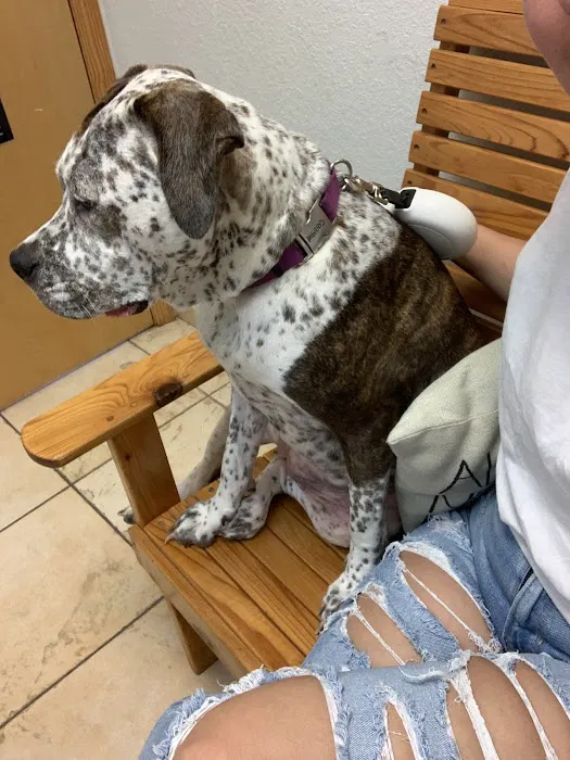 Englewood Animal Health Center 12
