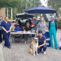 Englewood Animal Health Center ico