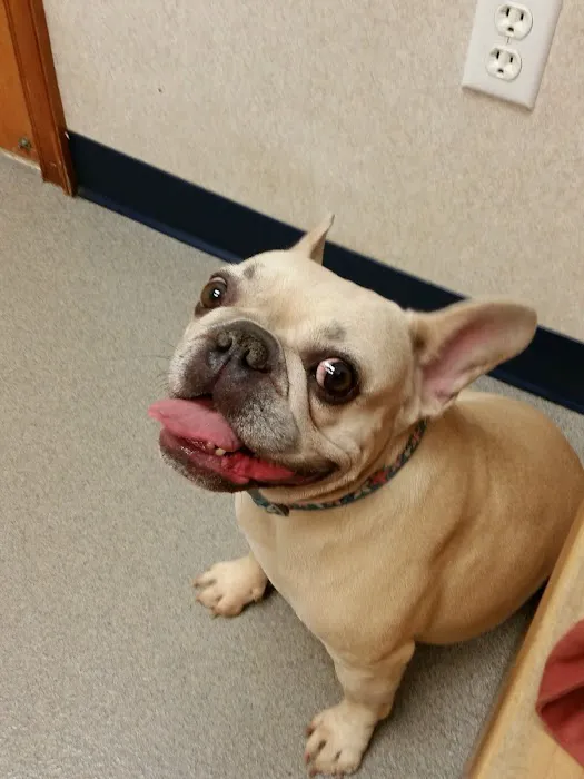 Lemon Bay Animal Hospital 12