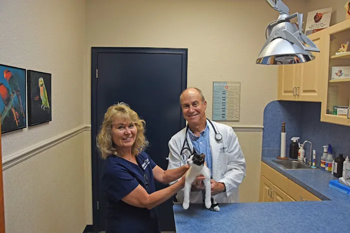 Lemon Bay Animal Hospital 12