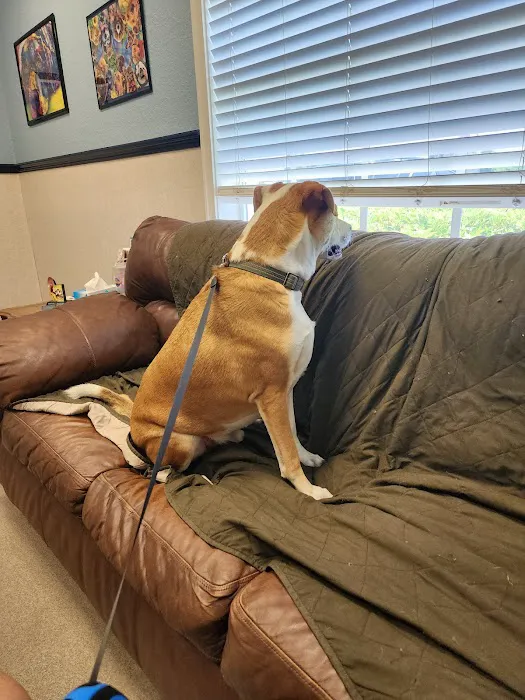 Lemon Bay Animal Hospital 12
