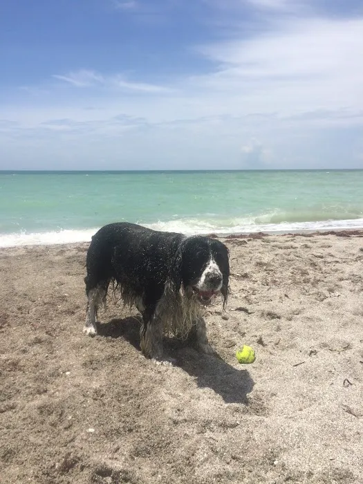 Lemon Bay Animal Hospital 12