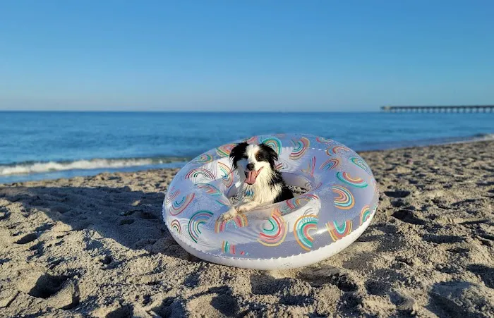 Lemon Bay Animal Hospital 12