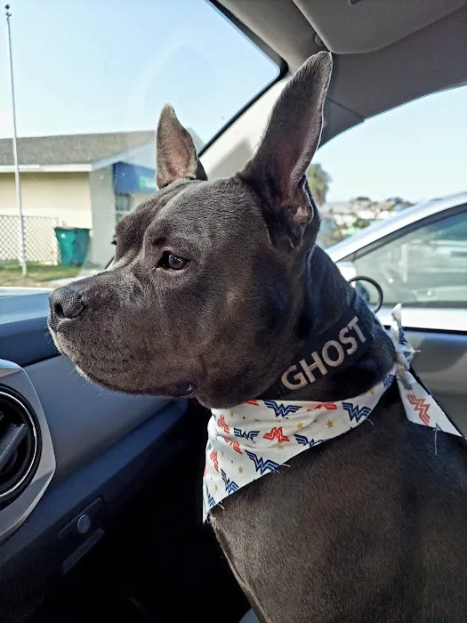 Sunnybrook Animal Hospital 12