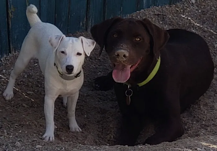 Sunnybrook Animal Hospital 12