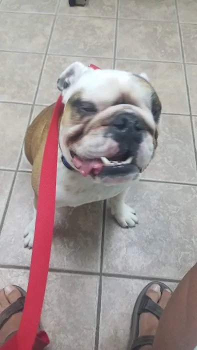 Sunnybrook Animal Hospital 12