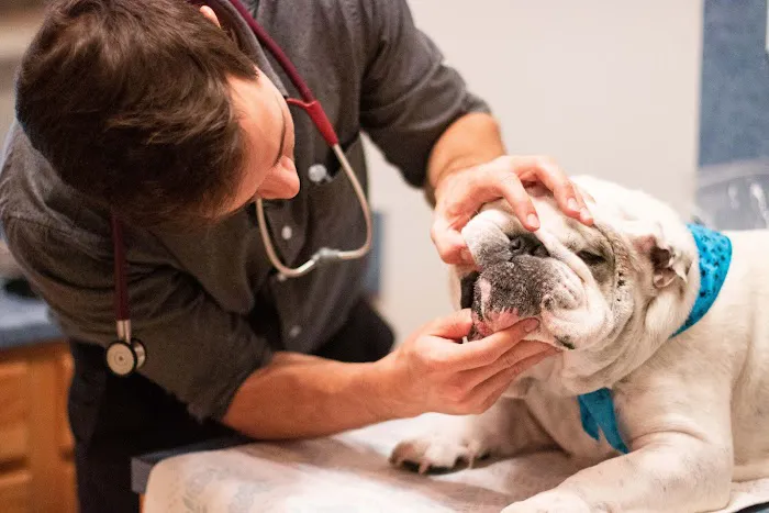 TotalBond Veterinary Hospital at Paw Creek 5