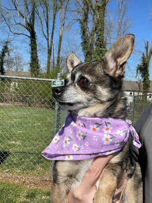 TotalBond Veterinary Hospital at Paw Creek 2