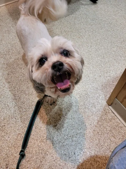 TotalBond Veterinary Hospital at Paw Creek 1