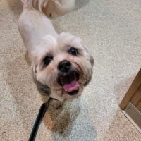 TotalBond Veterinary Hospital at Paw Creek ico