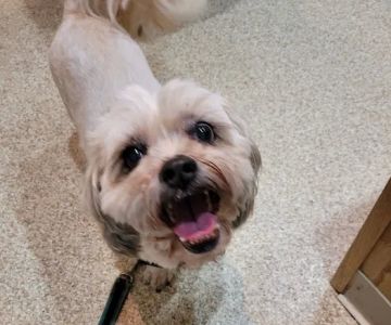 TotalBond Veterinary Hospital at Paw Creek