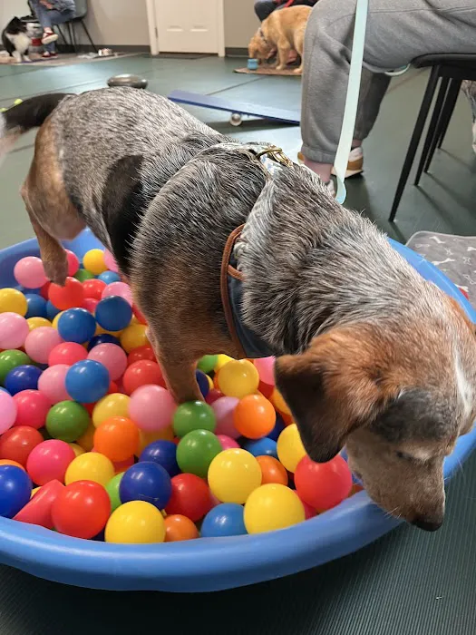 Southeast Animal Behavior + Training 5