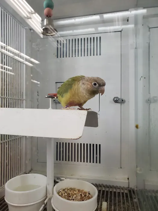 Petco 12