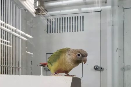 Petco