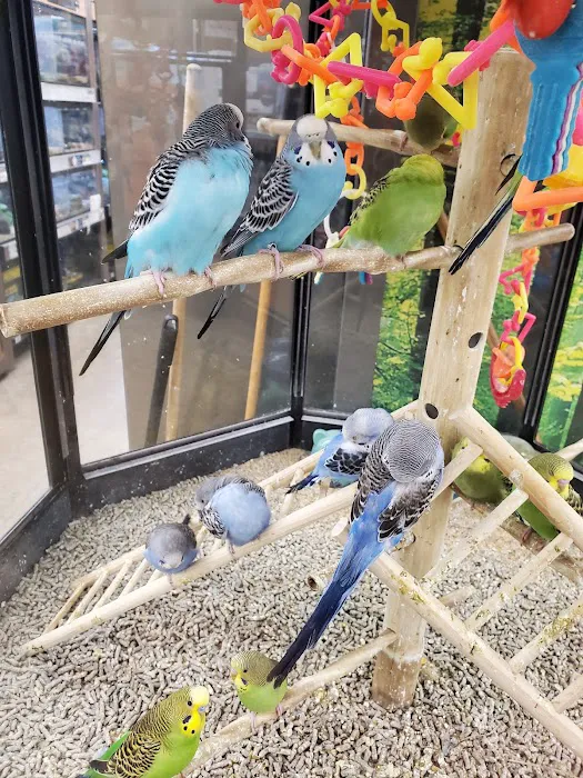 Petco 12
