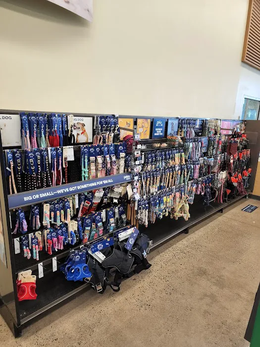 Petco 12