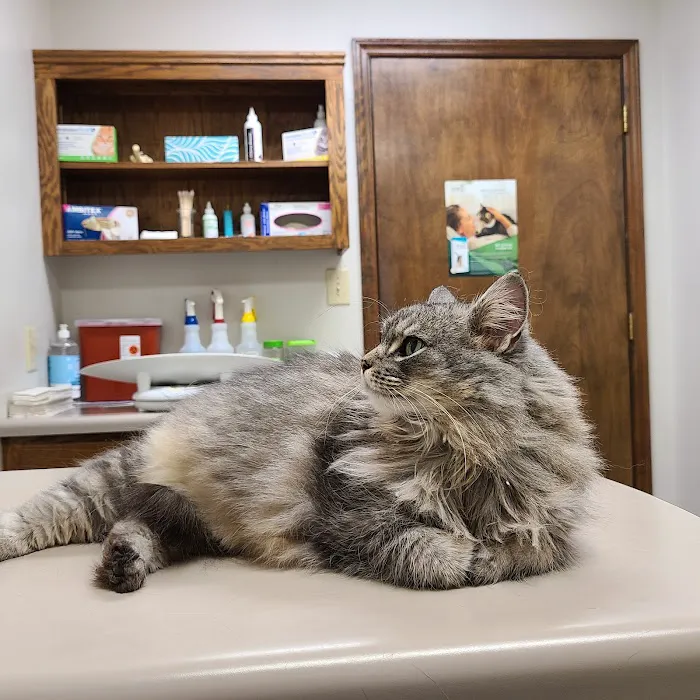 Gaston Veterinary Hospital PA 1