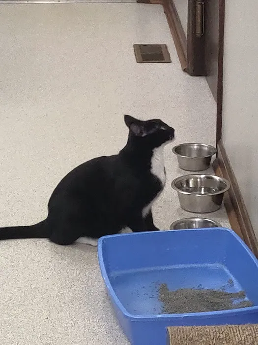 Gaston Veterinary Hospital PA 7
