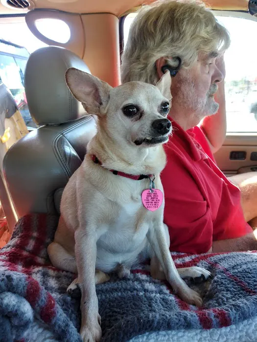 Gaston Veterinary Hospital PA 9