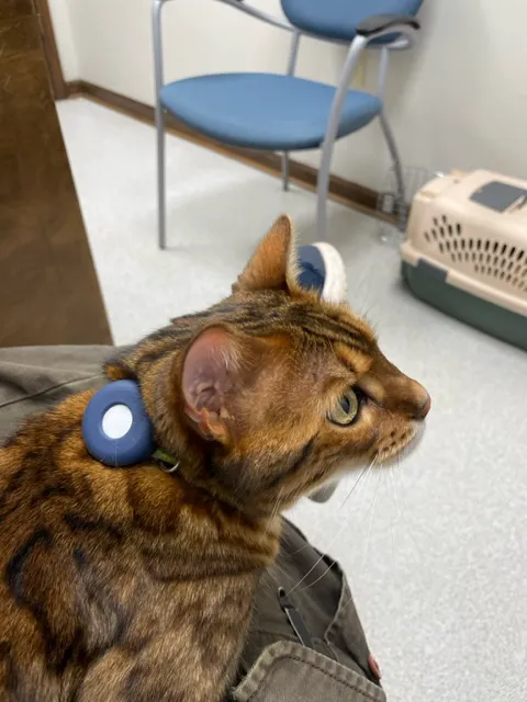 Gaston Veterinary Hospital PA 3