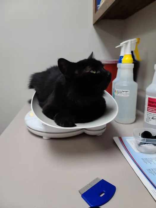 Gaston Veterinary Hospital PA 4