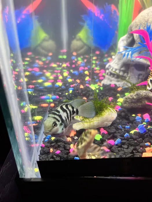 Finatics Aquarium & Pet Center 12
