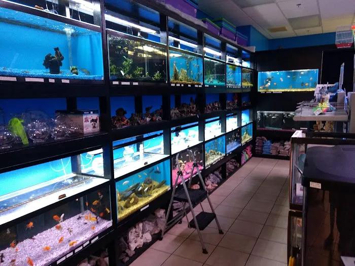 Finatics Aquarium & Pet Center 12